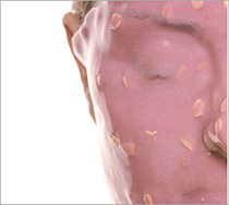 バイオレットマスク2040