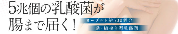 5兆個の乳酸菌が腸まで届く！