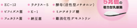 1袋に5兆個の複合型乳酸菌
