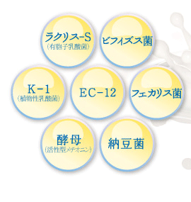 EC-12・ビフィズス菌・フェカリス菌・ラクリス-S・K-1・納豆菌・酵母（活性型メチオニン）・ミルクオリゴ糖・難消化性デキストリン