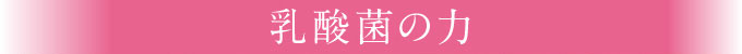 乳酸菌の力