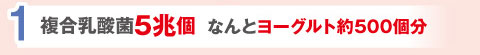 1.複合乳酸菌5兆個、なんとヨーグルト約500個分