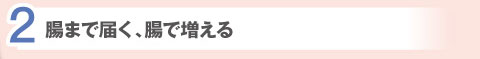 2.腸まで届く、腸で増える