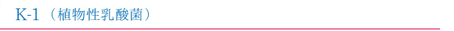 K-1（植物性乳酸菌）