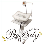 Pro Body〈プロボディ〉
