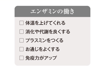 エンザミンの働き