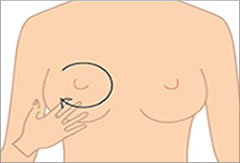 バスト全体になじませる