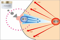 乳頭周りにしっかりとデコルトを塗り込む