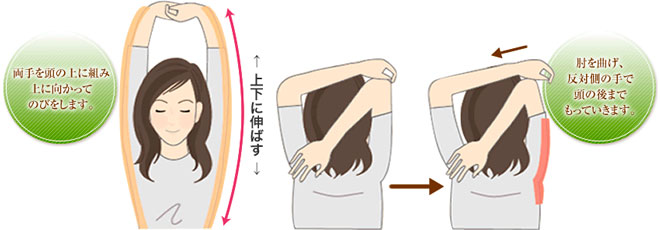 両手を頭の上に組み、上に向かってのびをします。肘を曲げ、反対側の手で頭の後ろまでもっていきます。