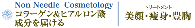 Non Needle Cosmetology コラーゲン＆ヒアルロン酸成分を届ける | 美顔・痩身・豊胸トリートメント