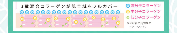 3種混合コラーゲンが肌全域をフルカバー
