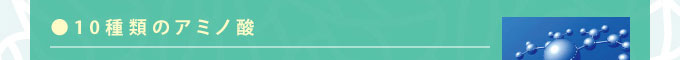 ●10種類のアミノ酸